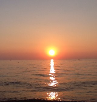 g_giacco Profile Picture