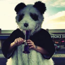Je suis un Panda mangeur de pâtes depuis 1995, adorateur du Ricard depuis 2001 et fan de weed depuis 2005 !