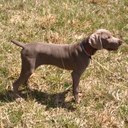 Dan Powell - @drltdan - Twitter