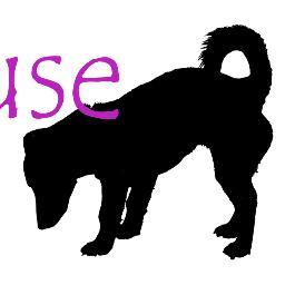 20 Artists exhibiting in our Open House a 15 Hampstead Road, Brighton BN1 5NG
