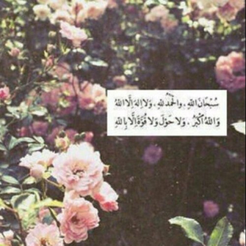 (الَّذِينَ آمَنُوا وَتَطْمَئِنُّ قُلُوبُهُمْ بِذِكْرِ اللَّهِ أَلا بِذِكْرِ اللَّهِ تَطْمَئِنُّ الْقُلُوبُ) - ارجو دعم هذا الحساب، في ميزان حسناتكم ان شاء الله