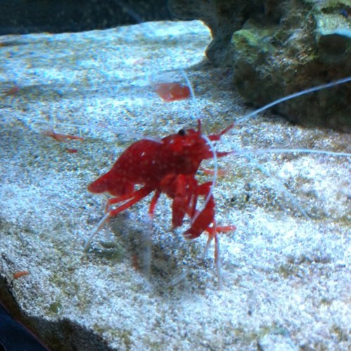 emacias71's profile picture. 