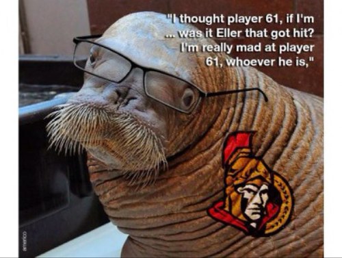 Paul Mclean the walrus