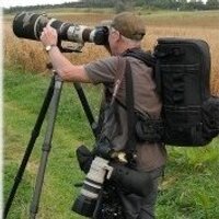 Jim Almond(@ShropsBirder) 's Twitter Profileg