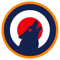 WildNightCo's profile picture. London • Los Angeles