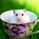 William Evans - @EvansEvans333 - Twitter