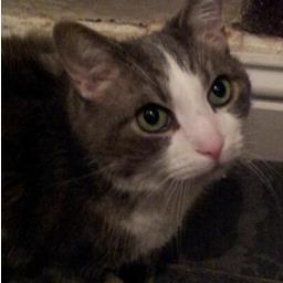 AElsender's profile picture. Social Prescribing Link Worker in Northumberland