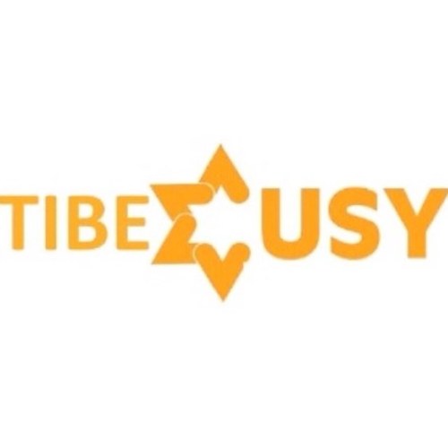 TIBE USY ~ Tifereth Israel/ Beth El