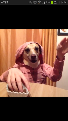 Brundan73's profile picture. 