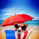 Photo Art - @PhotoArt2Day - Twitter