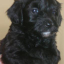 seanmauch's profile picture. Make it so!