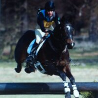 Nim Spalding (@nimspalding) 's Twitter Profile