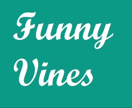 TheVineLoop Profile Picture