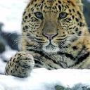 Elly Thompson - @natur_elly - Twitter