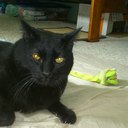 Barb Franklin - @bfranklin0422 - Twitter