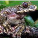 Jenny Mattison - @Lady_Killigrew - Twitter