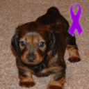 Sharron Black - @sharrblack - Twitter