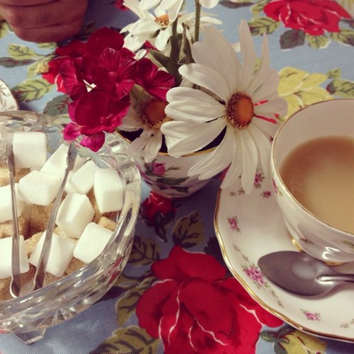 LauraCavanagh4's profile picture. 