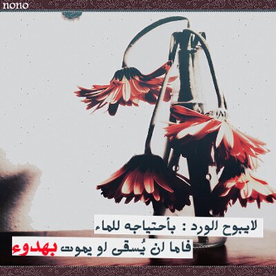 " ، ‏ سَيكون العِوض مُعجزة."   - صفحة 8 F60b99f778072aa6d10119c781be0d05_400x400