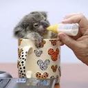 Jane Keyes - @JaneKeyes2 - Twitter