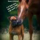 Bailey Stoneman - @BaileyStoneman - Twitter