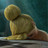 almjroo7y's profile image