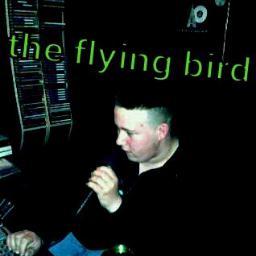 the flying bird