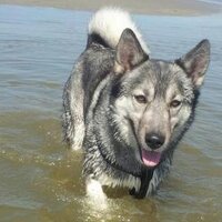 KjH4media (@kjh4media) 's Twitter Profile
