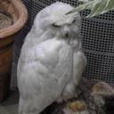 Jeanette Doyle - @Jeanette1110 - Twitter