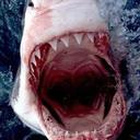 Michael Derby - @Super2manarmy11 - Twitter