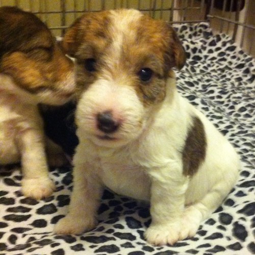 DunnEce's profile picture. 