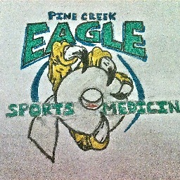 PineCreekAT's profile picture. Pine Creek High School Sports Medicine caring for athletes, teaching future athletic trainers.