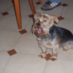 Eduardo del Bas 🎲🎲💚🏳️ (@edelbas) Twitter profile photo Eduardo del Bas 🎲🎲💚🏳️ (@edelbas) Twitter profile photo