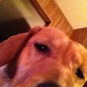 Alex Atha - @zatha75 - Twitter