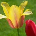 Allan Marcus - @AllanBlue33 - Twitter