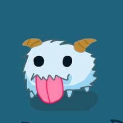 Poro~