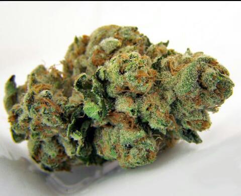 BudNBongs's profile picture. The Cleanest Pictures around follow us for the latest coolest pictures of BudNBongs