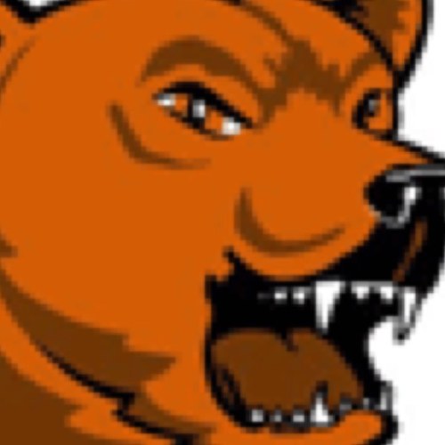 SFBearsNEWS's profile picture. Info and news on the Smiths Falls Bears Jr A hockey club. Unofficial account. #CCHL #JrA Donald Kramer & Mike Nellis tweeting.