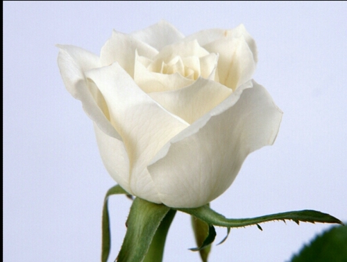 ‏‏‏‏‏اللهم إجعل حسابي هذا صدقة جاريه لي ولوالديه