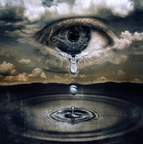 BoredAndBonkers's profile picture. 