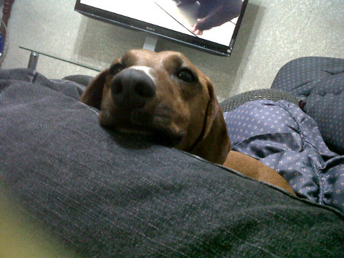 j_ruizg's profile picture. 