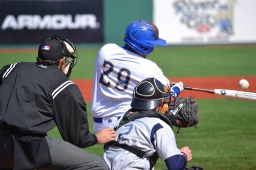 EDDIE_S's profile picture. CMSV #29