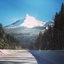 Meghan Pearson - @MeghanNCale - Twitter