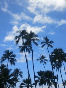 RALPH_0201's profile picture. 果報は寝て待て