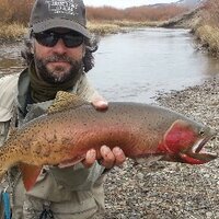 Joe H (@troutstalker10) 's Twitter Profile