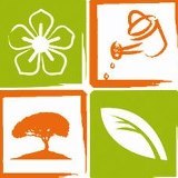 Envió de flores a domicilio en DF, Servicio rápido y seguro. La manera más fácil, rápida y segura de enviar flores por Internet. Tel: 55.46.69.05 / 55.46.46.19