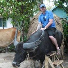 NSuch24's profile picture. Phoebe's Dad. Emma's Husband. Might know a thing or 2 about sport.