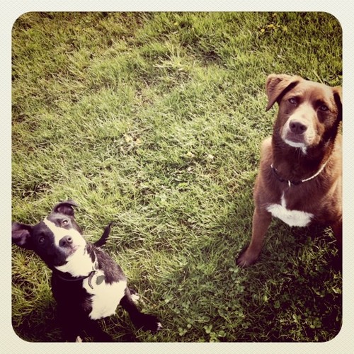 KateSoroka's profile picture. 