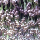 Maria Pohl - @westsidewiner - Twitter