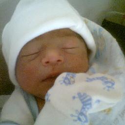 balancima's profile picture. 